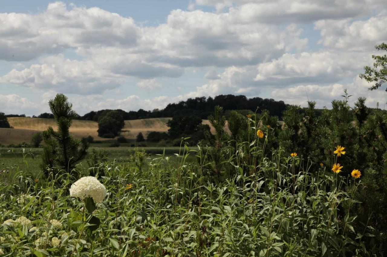Grosse Wohnung / Haushaelfte In Peetzig Am See Angermunde Buitenkant foto
